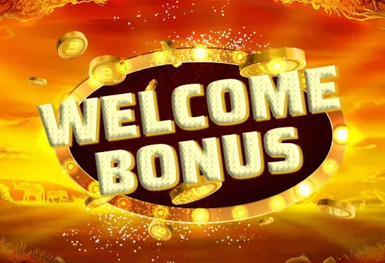 Dunder welcome bonus